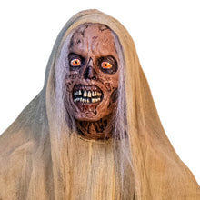Load image into Gallery viewer, CREEPSHOW (TV SERIES) - THE CREEP HANGING PROP